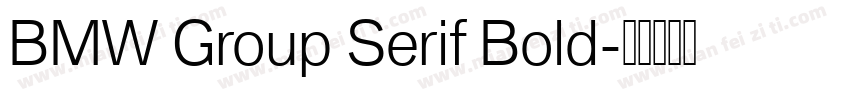 BMW Group Serif Bold字体转换